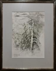 SOLD Suon&auml;kym&auml;, 2020, hiili paperille 19,5x27,5cm 