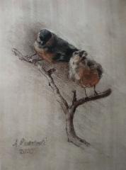 SOLD, Punatulkut, 2020, hiili, seepia ja punaliitu