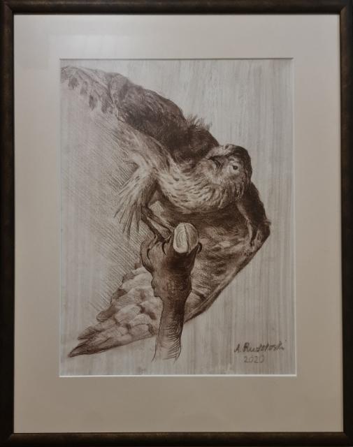 250&euro; 2020, Haukka