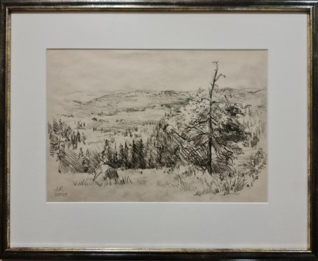 200&euro; 2020, Naarva