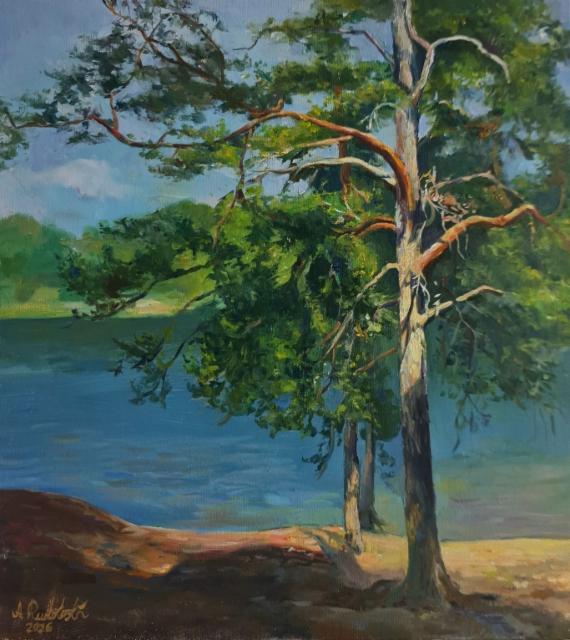 1200€ 2026, Mänty, Öljy kankaalle 45x50cm