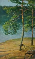 1200&euro; 2026, Kultainen hiekkaranta,&Ouml;ljy kankaalle 50x30cm