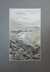350&euro; 2026 Pielisen rannalla, Hiili paperille 26,5x15,5cm