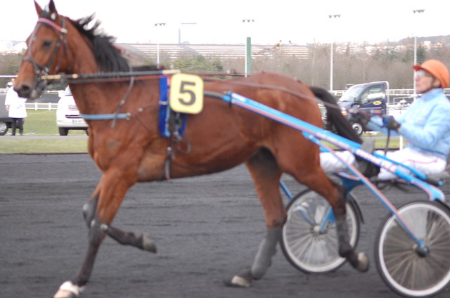 Quarla / F. Nivard