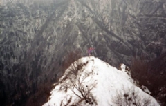 1989_i_treviso_helmikjup