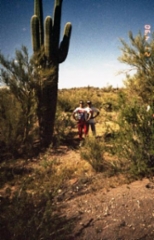 file0009globe-arizonap