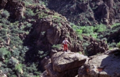 file0011globe-arizonap