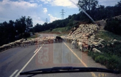 1991_e_viella_10-6b