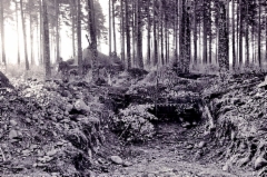 moottorikoulu_harjoitus_naamiointi_2-5_resize