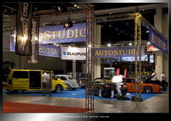 acs_2008_0118