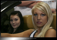 acs_2008_0171