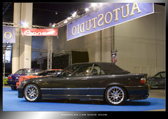 acs_2008_0229