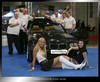 acs_2008_0238