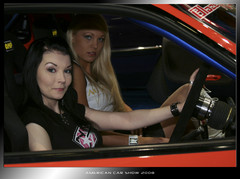 acs_2008_0152