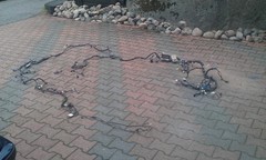 imag0198