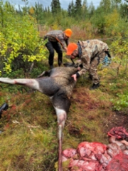 20210907_moose_twist
