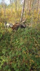 20250901_104530000_ios