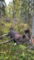 20250903_050723000_ios