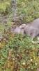 whatsapp_image_2026-09-01_at_11.04.27
