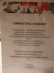 Ammattina Sankari gaala 21.11.2013 Helsinki