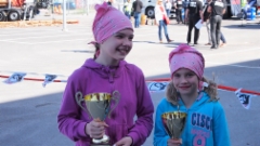Puunkuormaajamestarikilpailu 2015 Helsinki