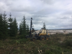 Puistometsäpalvelu Oldenburgin Ponsse Ergo kaatamassa puita Seepsulan Senkkerin kiviainestehtaan alueella Tuusulassa