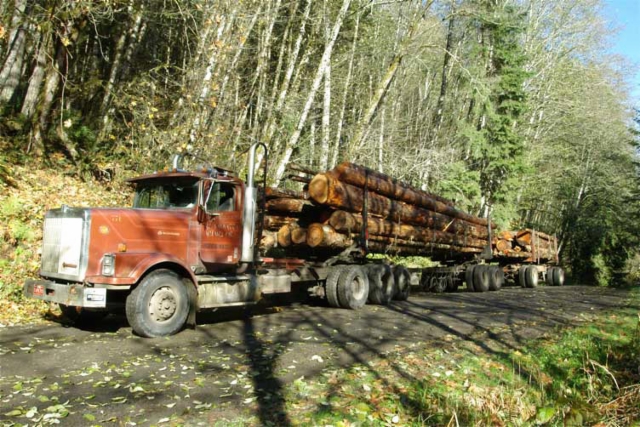 International 9300SB Logging Truck vm. 1990