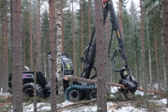 Logset 8H GT harvesterin työnäytös Hausjärvellä 3.2.2017