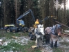 Puistometsäpalvelu Oldenburgin Ponsse Scorpion ja Åfeltin työhevoset samalla työmaalla - tehokasta yhteistyötä