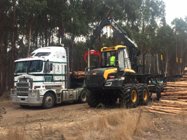 Ponsse Elephant King kuormatraktori sytt puuta tukkiauton kyytiin Australiassa 