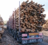 Raakapuun kuljetuksiin Forssan Lava ja Huolto Oy valmistaa 5-akselista ESAPE -perävaunua, joita on toimitettu asiakkaille jo kymmenkunta kappaletta.
