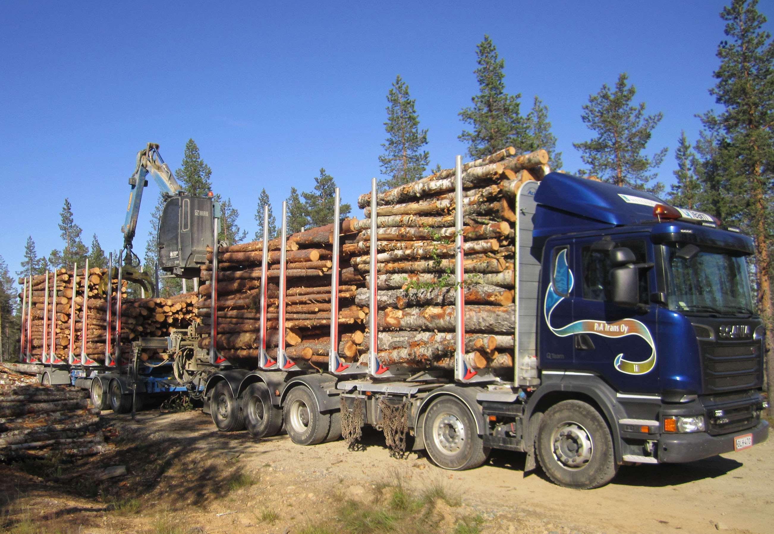 Вывозка древесины. Скания 8х8 лесовоз. Volvo a25 лесовоз. Скания лесовоз 8х4. Скания лесовоз автопоезд.