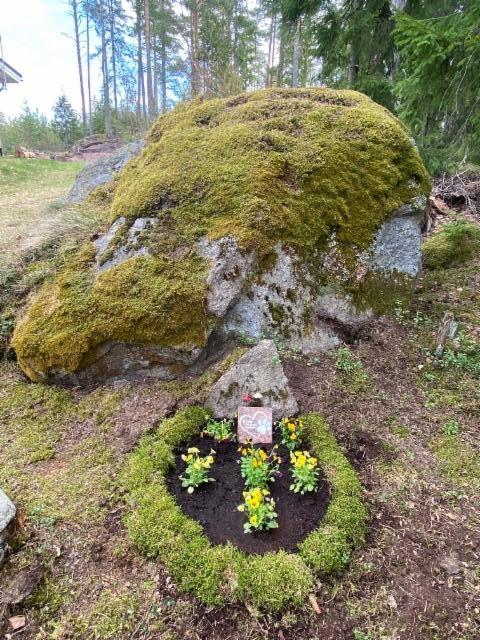 Babun hauta ison kiven juurella Babun hauta ison kiven juurella