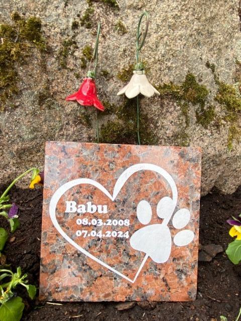 Babu -koiran muistokivi Babu -koiran muistokivi