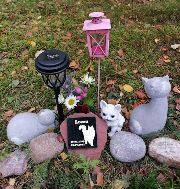 Leccu -kissan hautapaikka Leccu -kissan hautapaikka