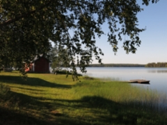 kuhmo11