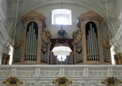 linz8