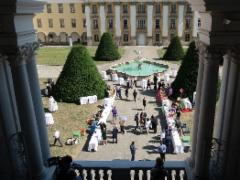 img_7803a