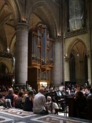 img_8225a