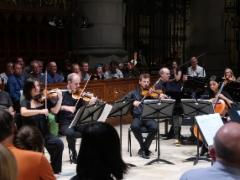 img_8242a