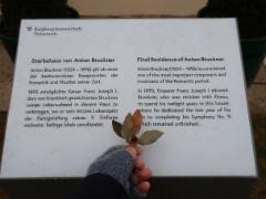 img_2506a