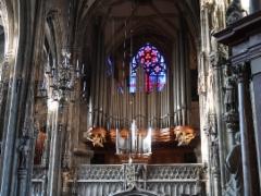 img_1897w