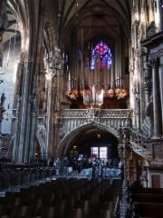 img_1898w