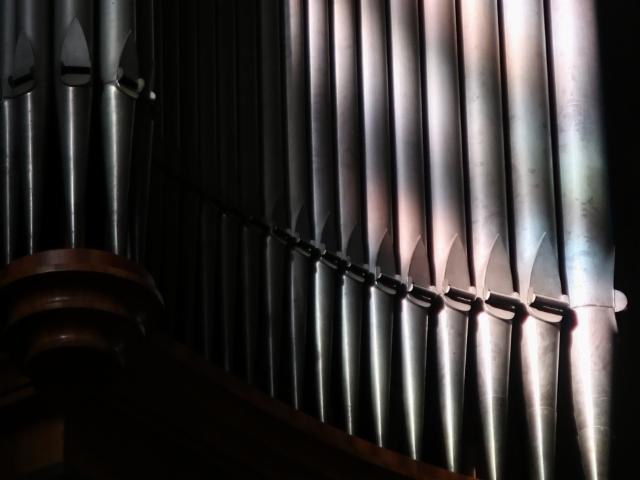 img_1930w img_1930w