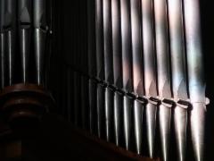 img_1930w