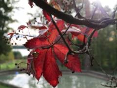 img_9673a