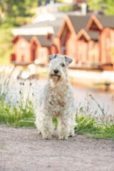 erin-a-porvoo-5