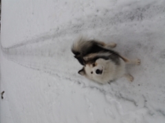 20170313_123930