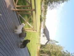 20180830_124518