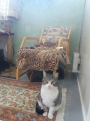 20180408_151627